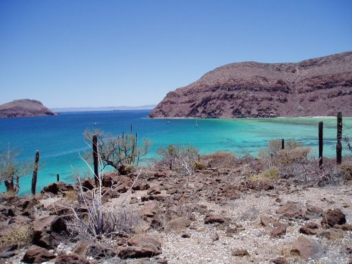 Sea of Cortez - click to see more photos