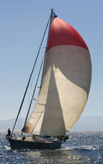 Daydream Sailing Baja